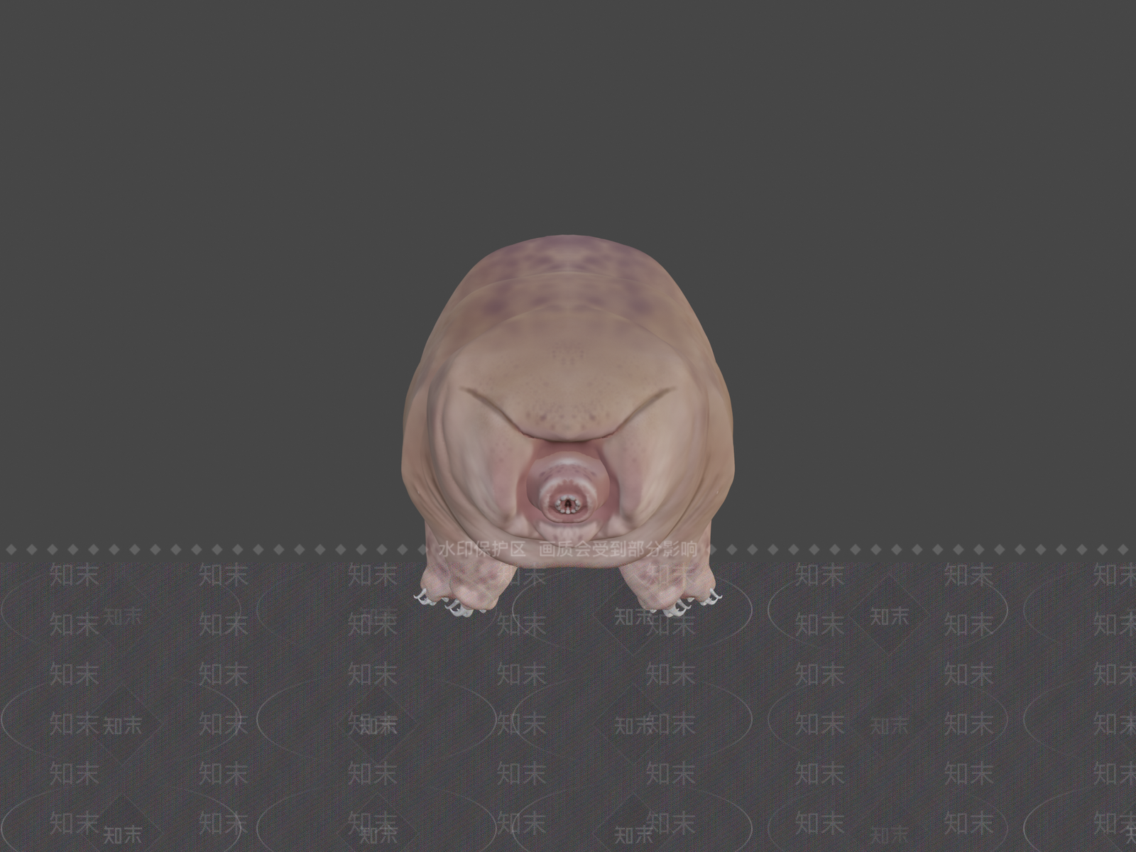 其他动物3D模型下载【ID:1196881665】