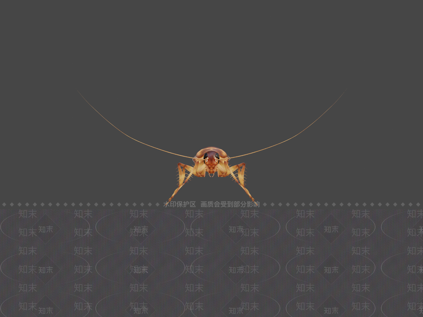 飞行类动物3D模型下载【ID:1196882304】