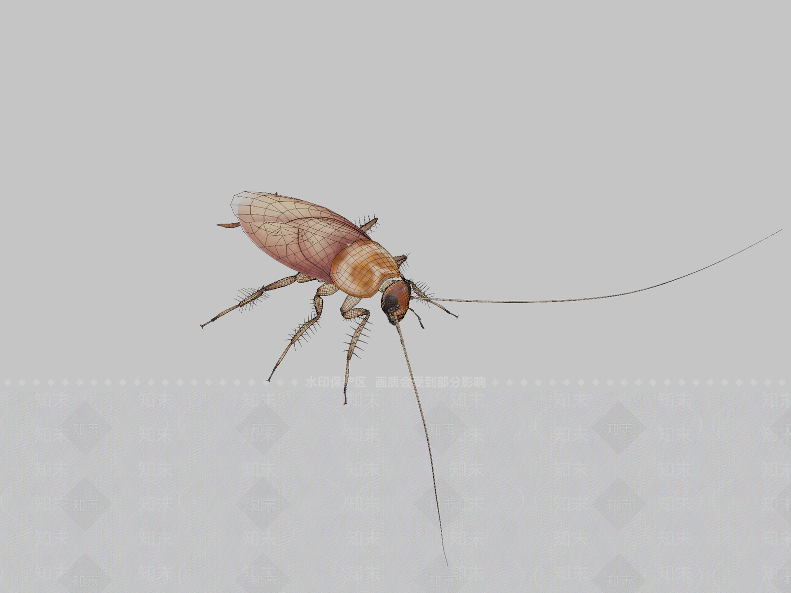 飞行类动物3D模型下载【ID:1196882304】