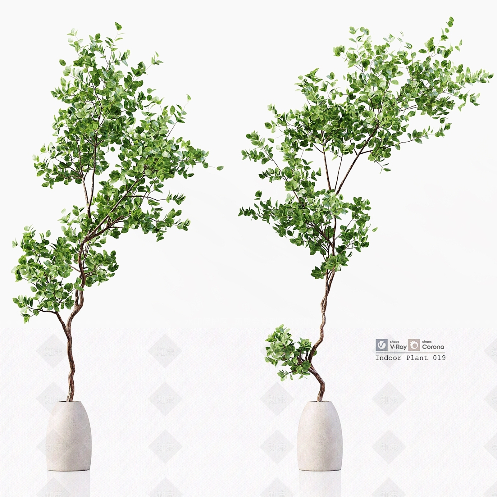 盆栽3D模型下载【ID:1196884812】