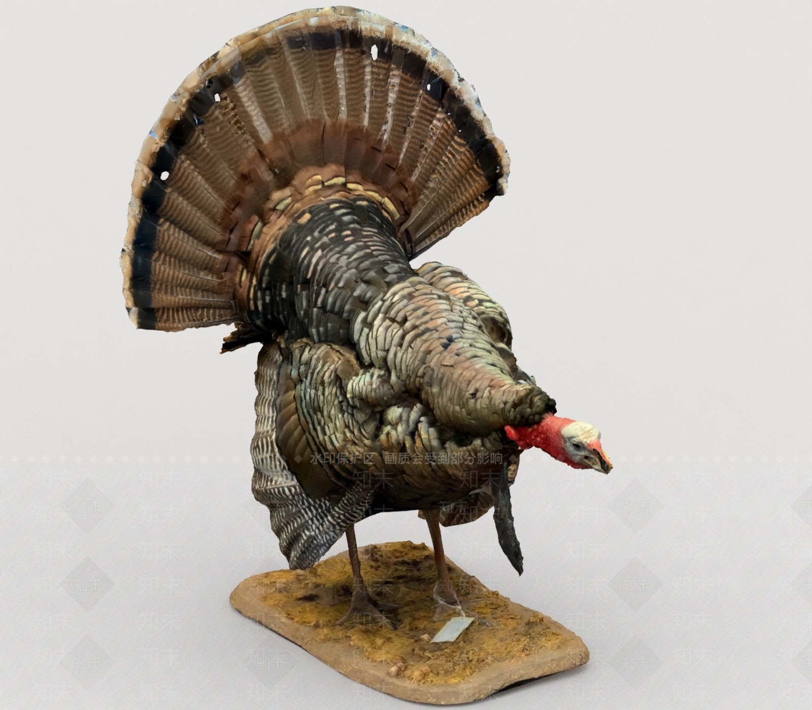 其他动物3D模型下载【ID:1196890322】