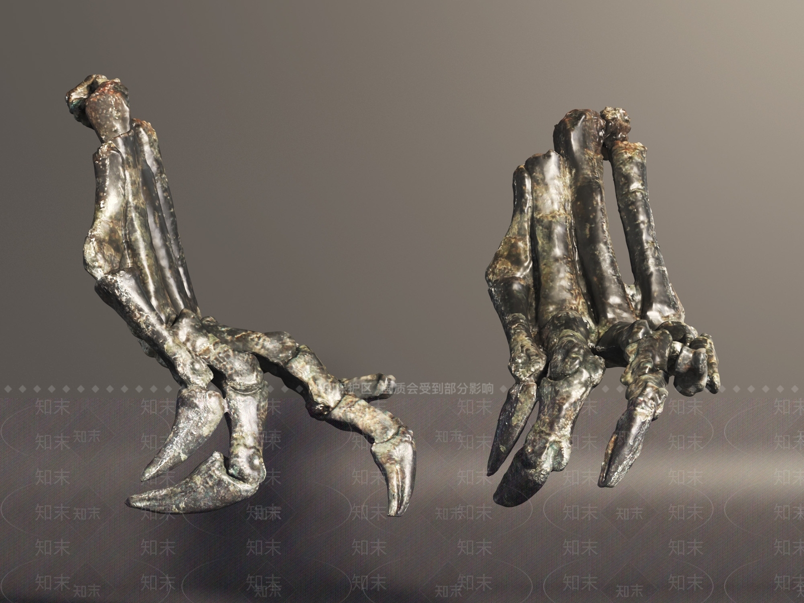 爬行类动物3D模型下载【ID:1196893454】
