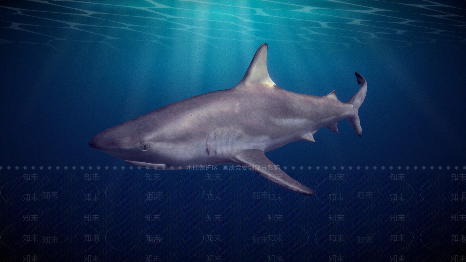 其他动物3D模型下载【ID:1196894042】