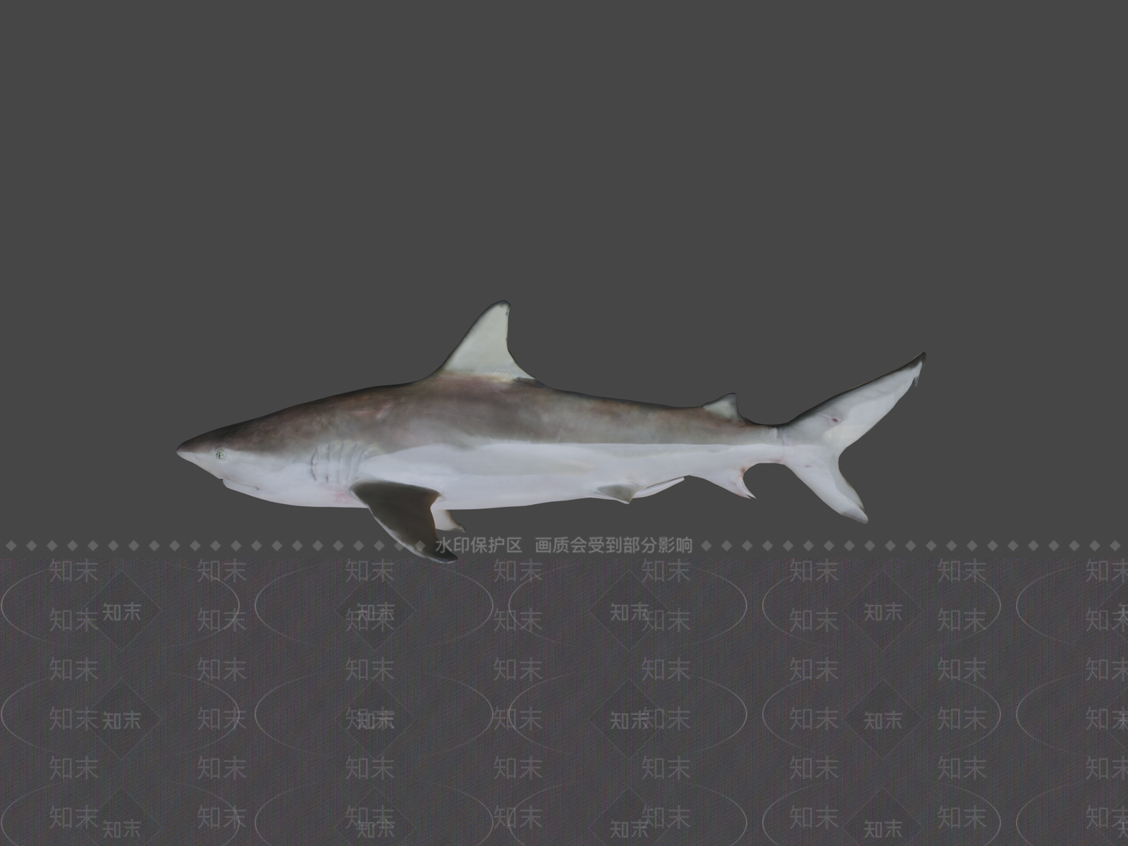 其他动物3D模型下载【ID:1196894042】
