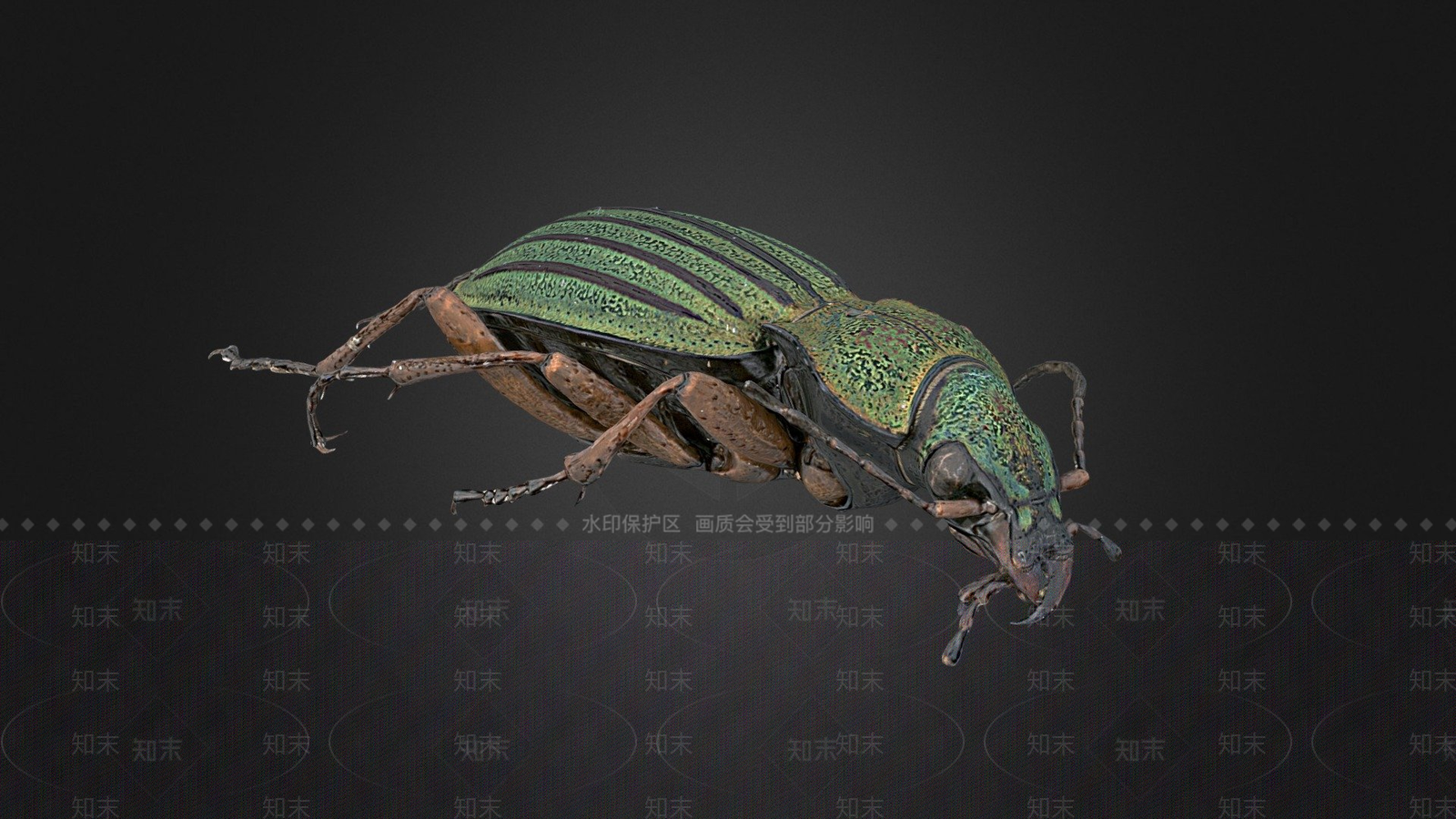 其他动物3D模型下载【ID:1196899662】