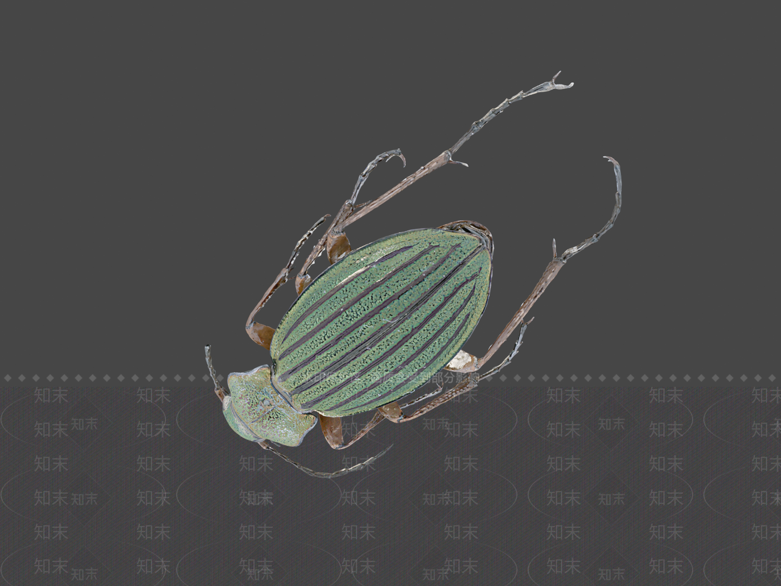 其他动物3D模型下载【ID:1196899662】