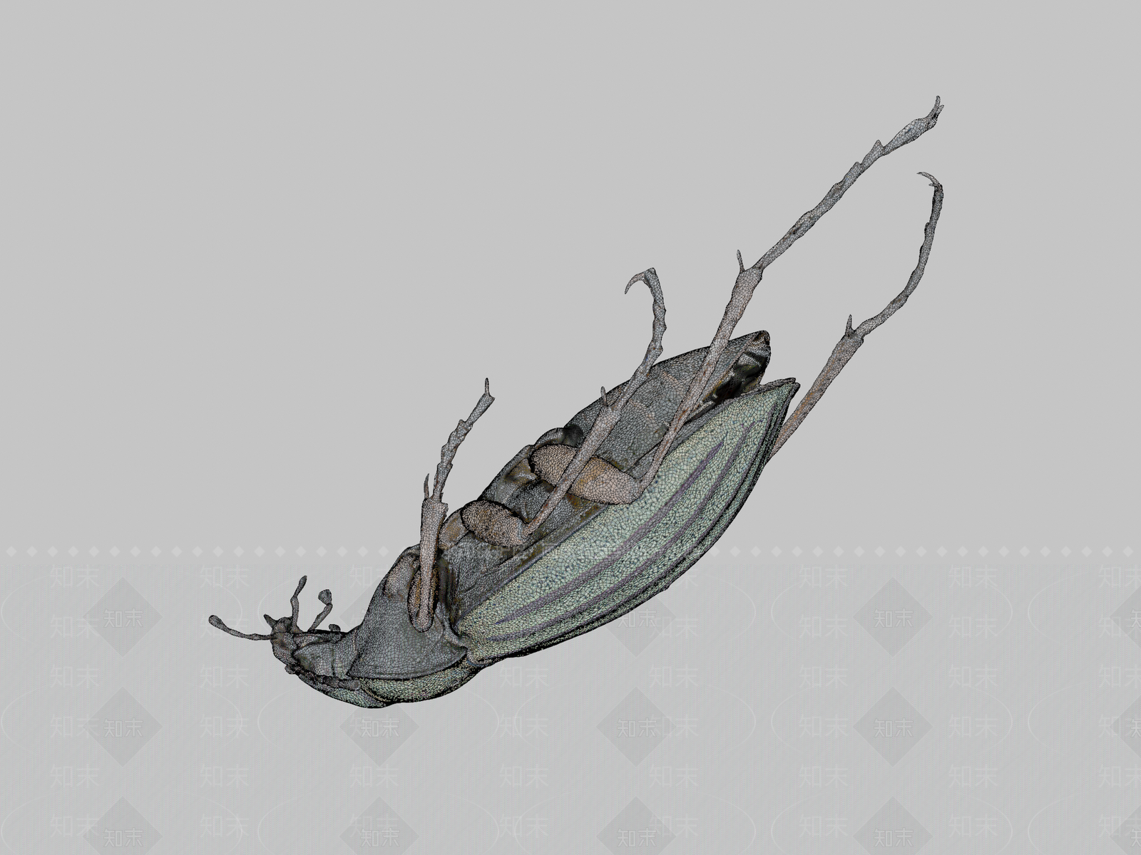 其他动物3D模型下载【ID:1196899662】