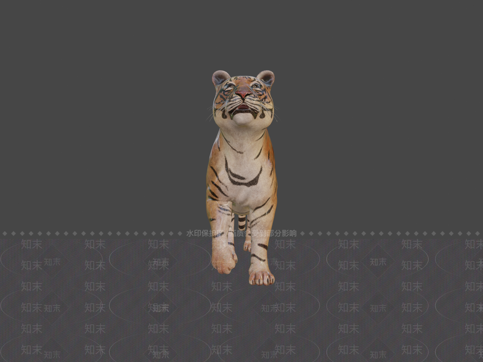 其他动物3D模型下载【ID:1196899776】