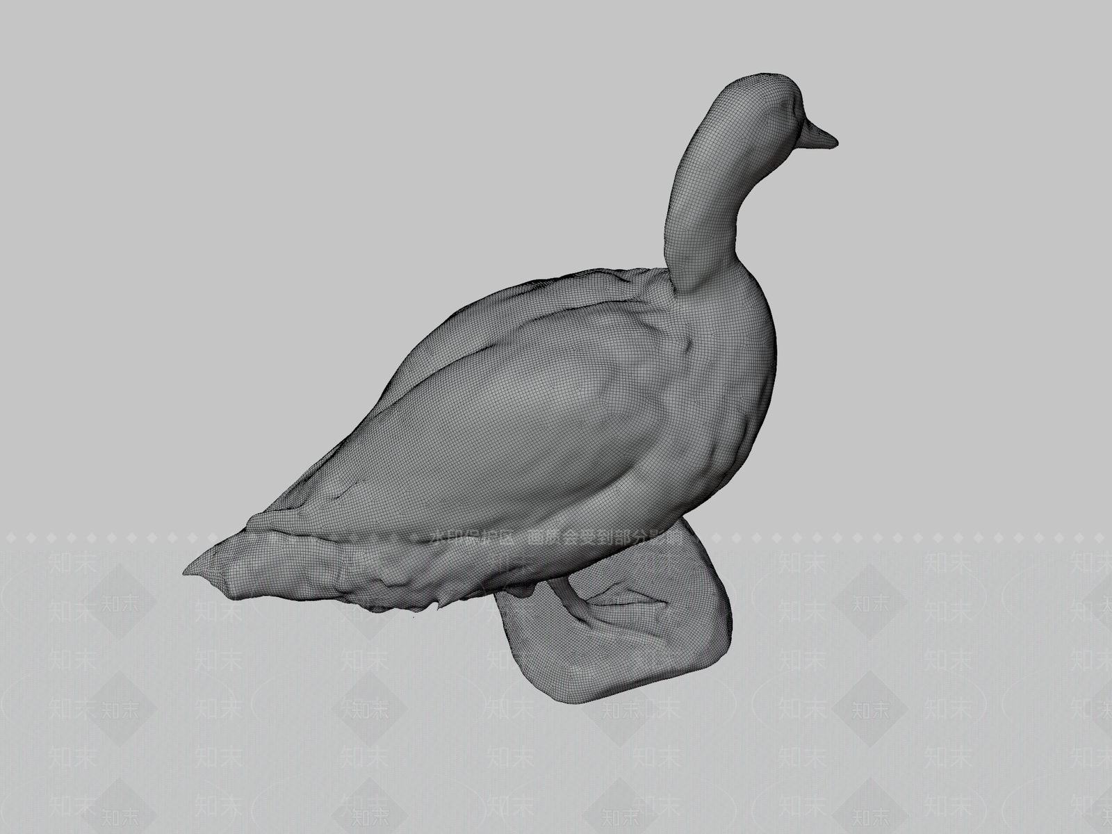 其他动物3D模型下载【ID:1196900739】