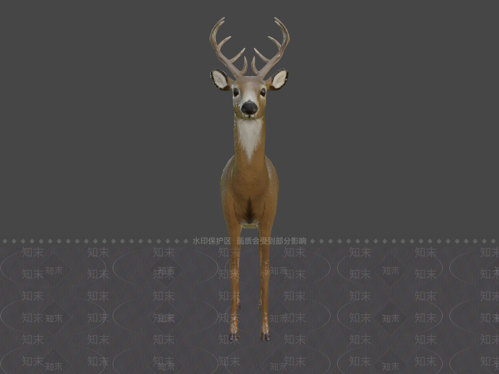 其他动物3D模型下载【ID:1196907315】