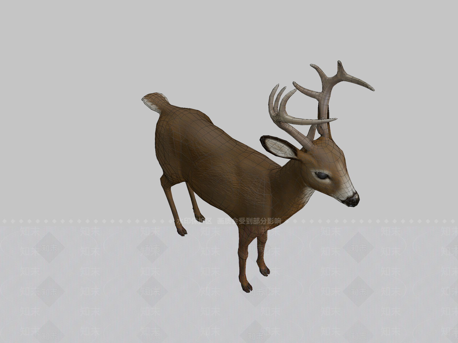 其他动物3D模型下载【ID:1196907315】