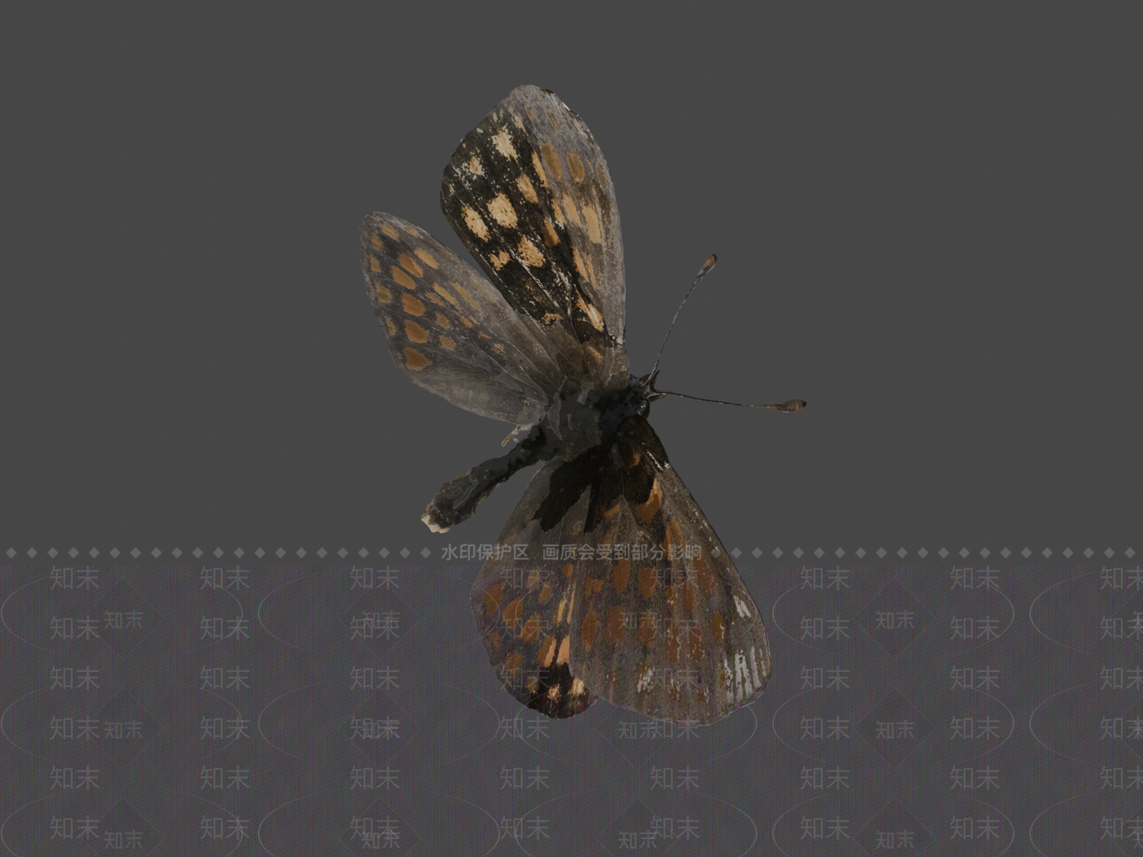 其他动物3D模型下载【ID:1196907987】