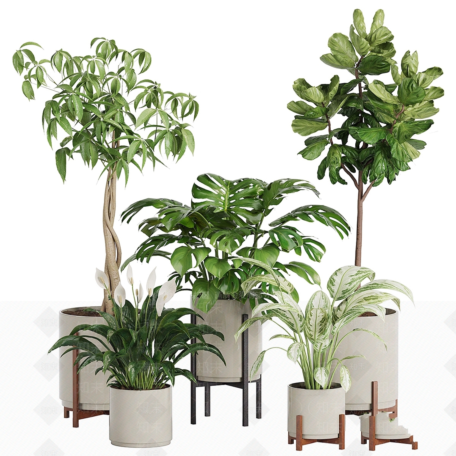 盆栽3D模型下载【ID:1196919736】