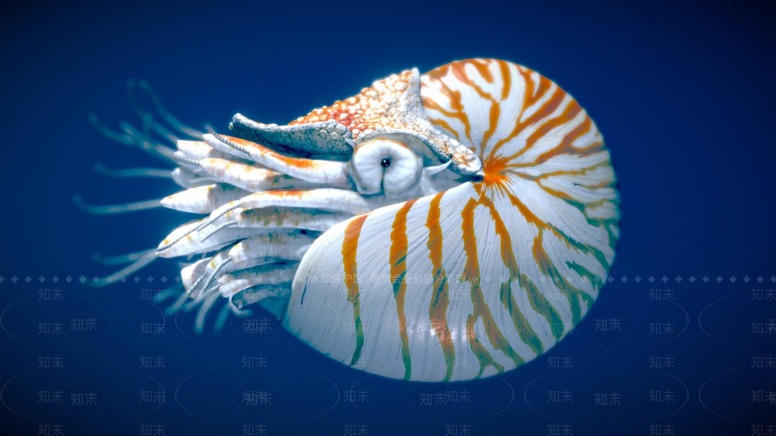 其他动物3D模型下载【ID:1196940844】