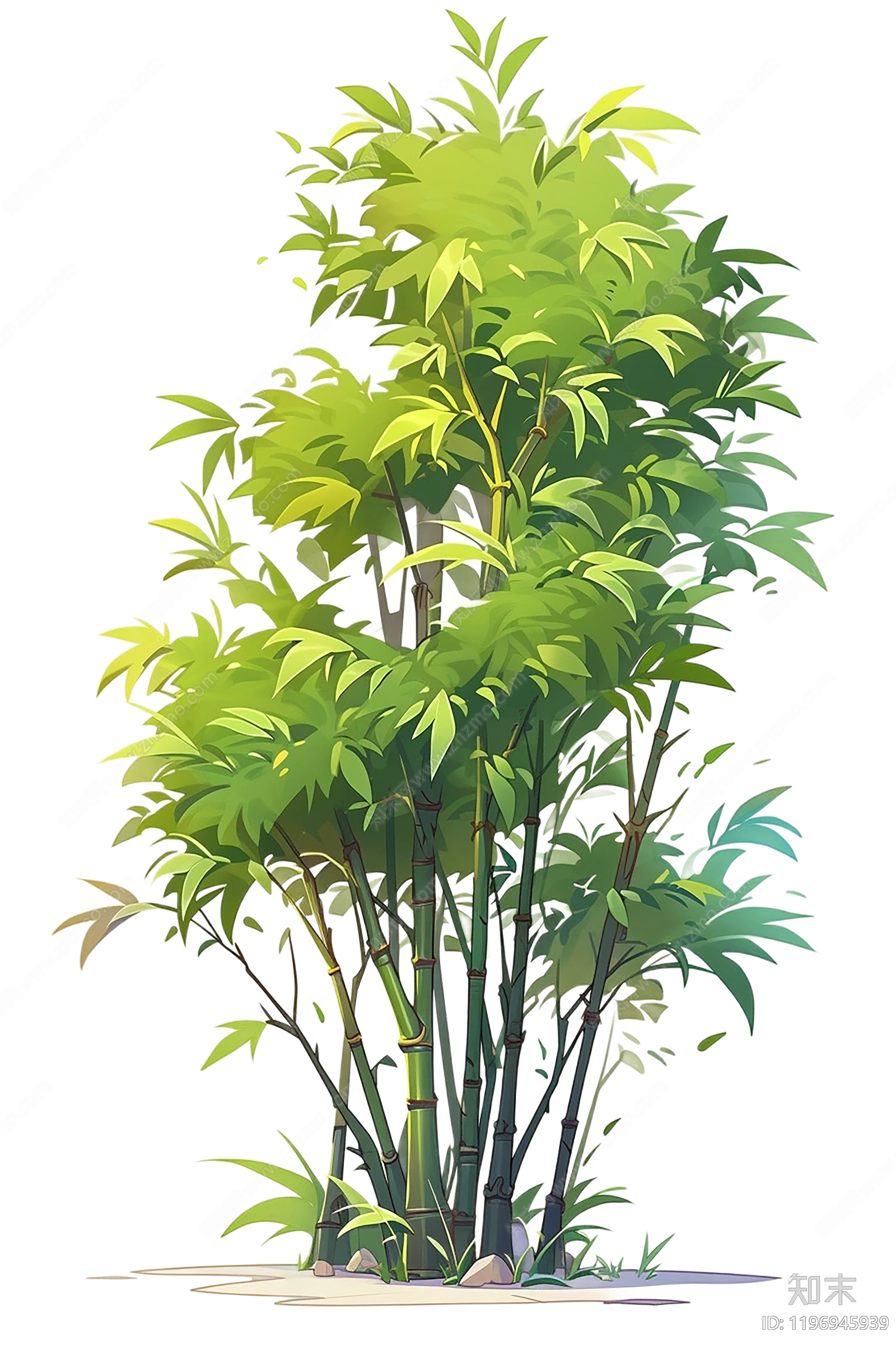现代热带植物下载【ID:1196945939】