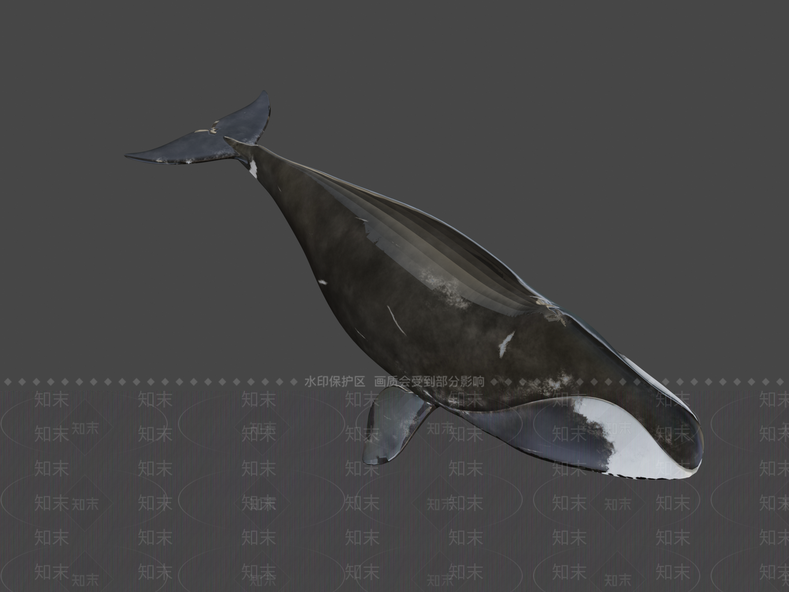 其他动物3D模型下载【ID:1196945809】