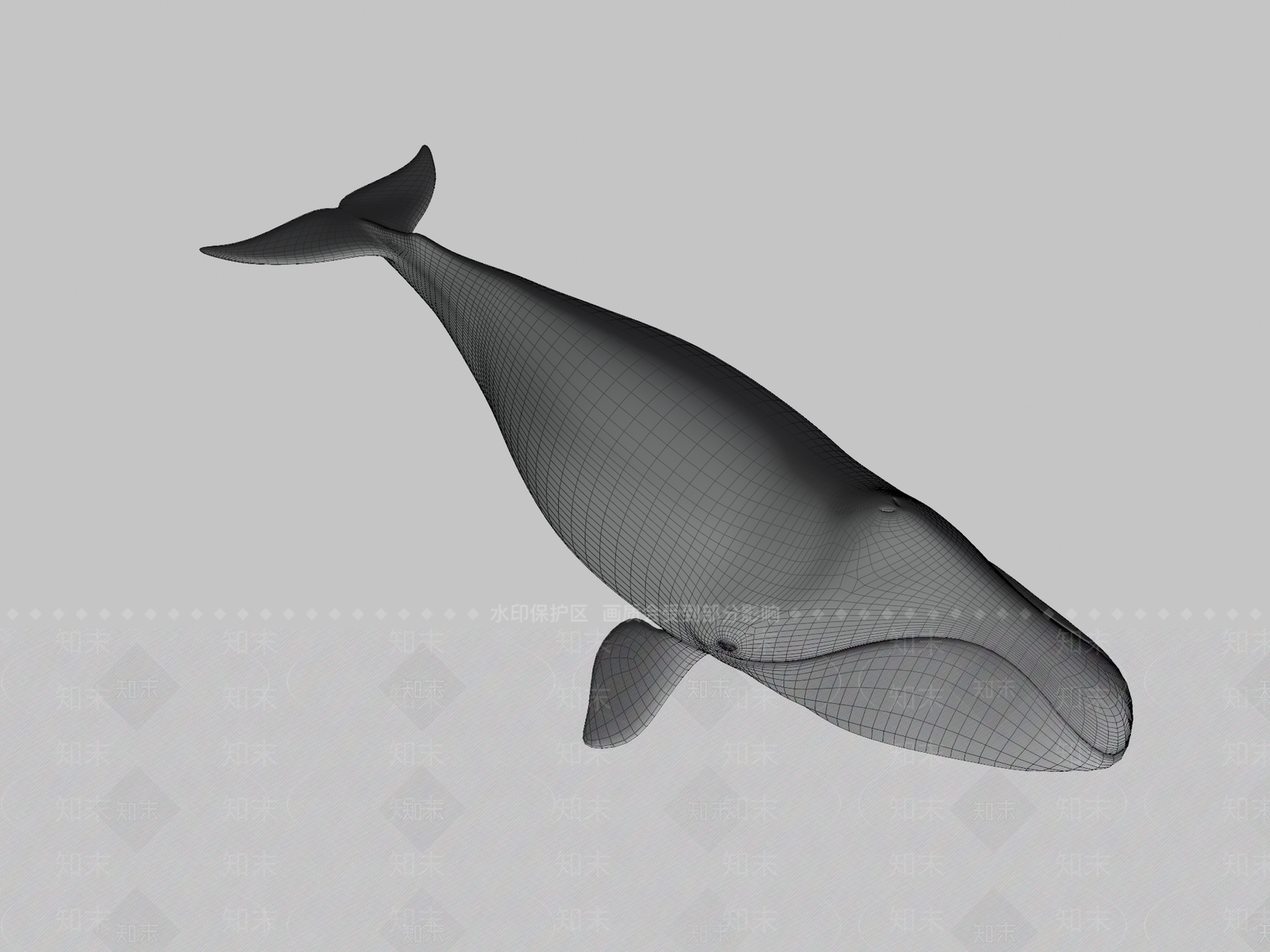 其他动物3D模型下载【ID:1196945809】