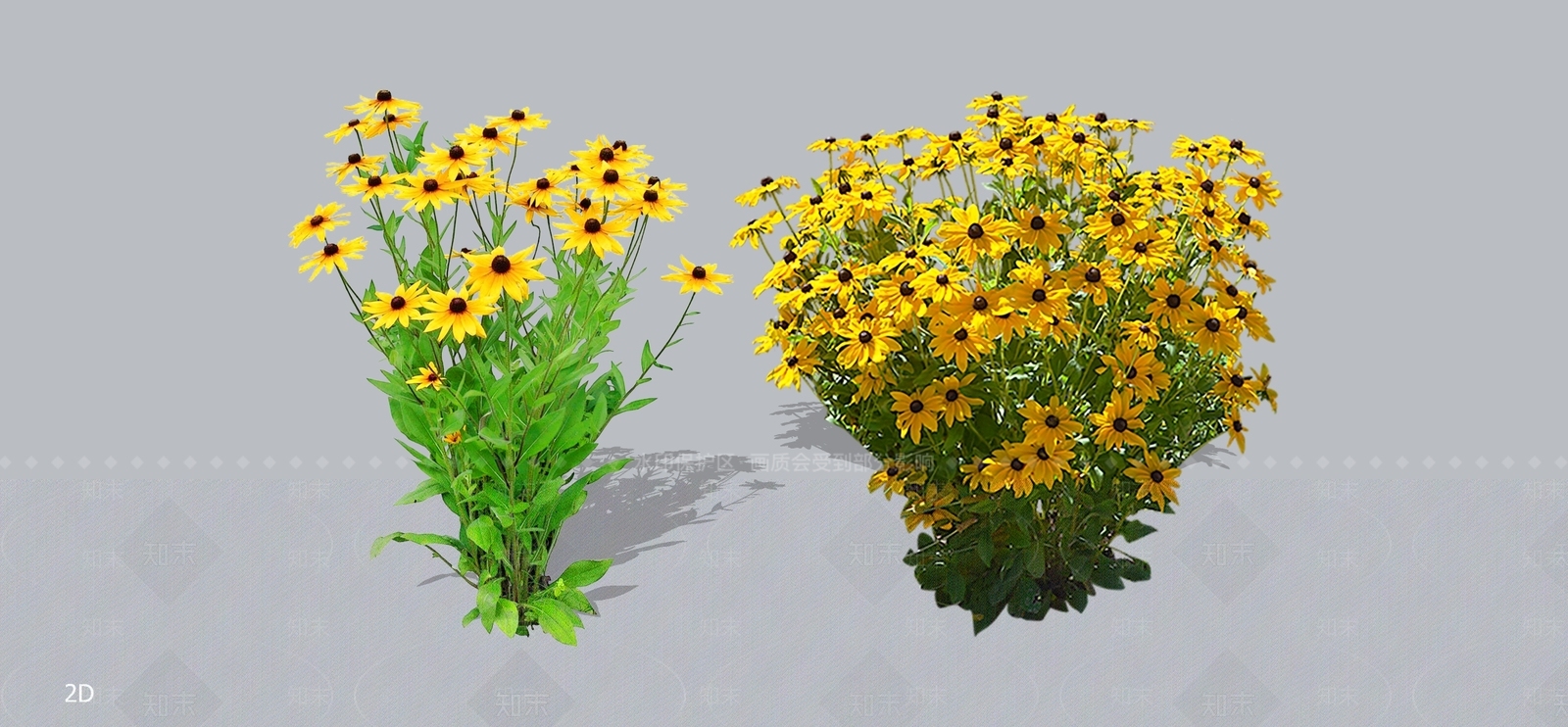 花草SU模型下载【ID:1196949019】