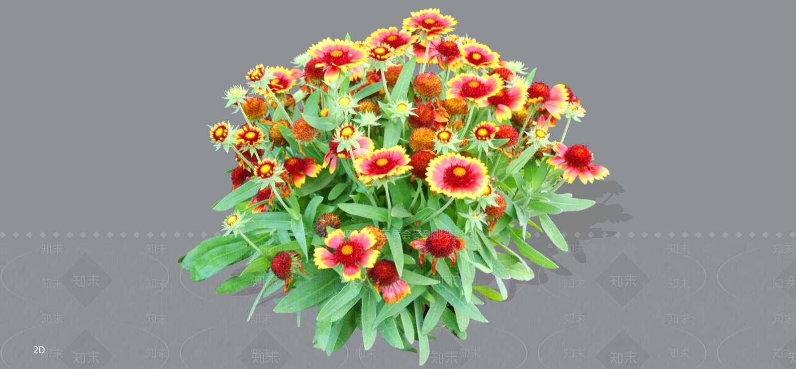花草SU模型下载【ID:1196949347】
