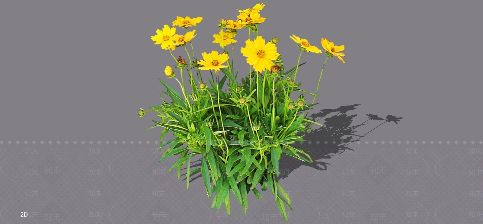 花草SU模型下载【ID:1196949650】