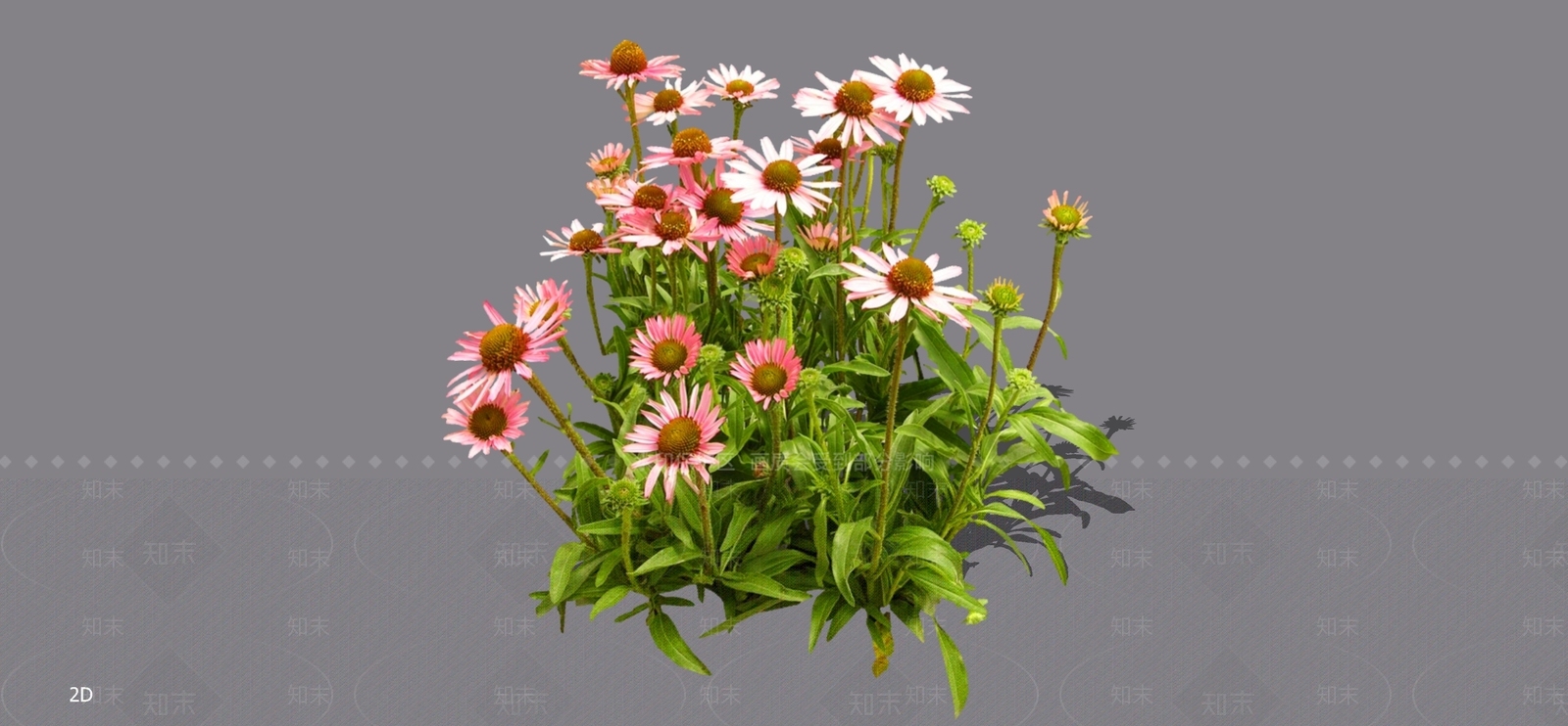 花草SU模型下载【ID:1196949800】