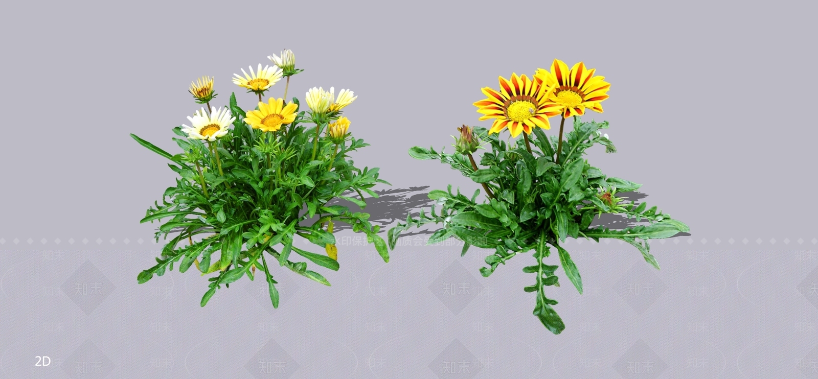 花草SU模型下载【ID:1196950071】