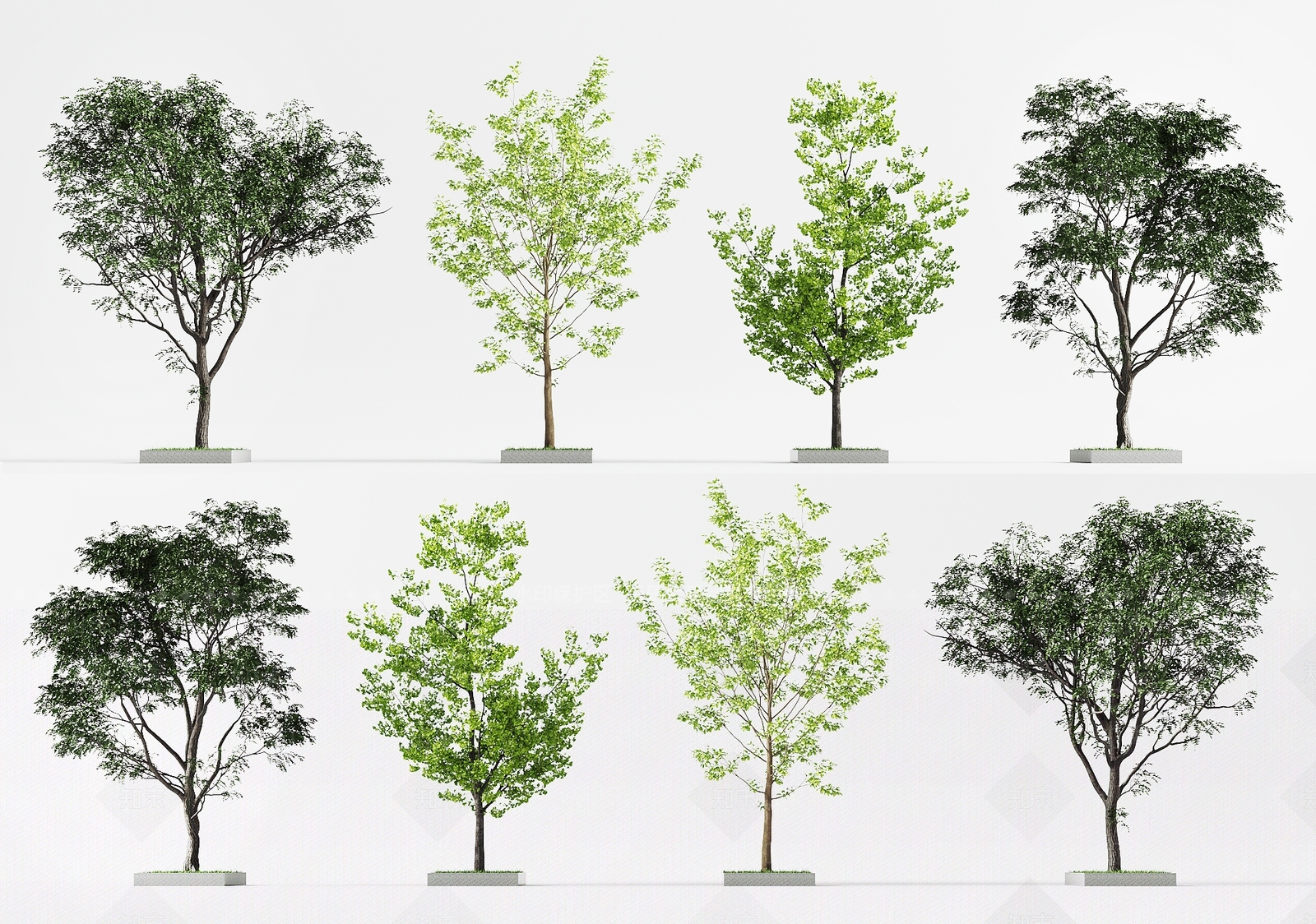 其他树木3D模型下载【ID:1196952863】