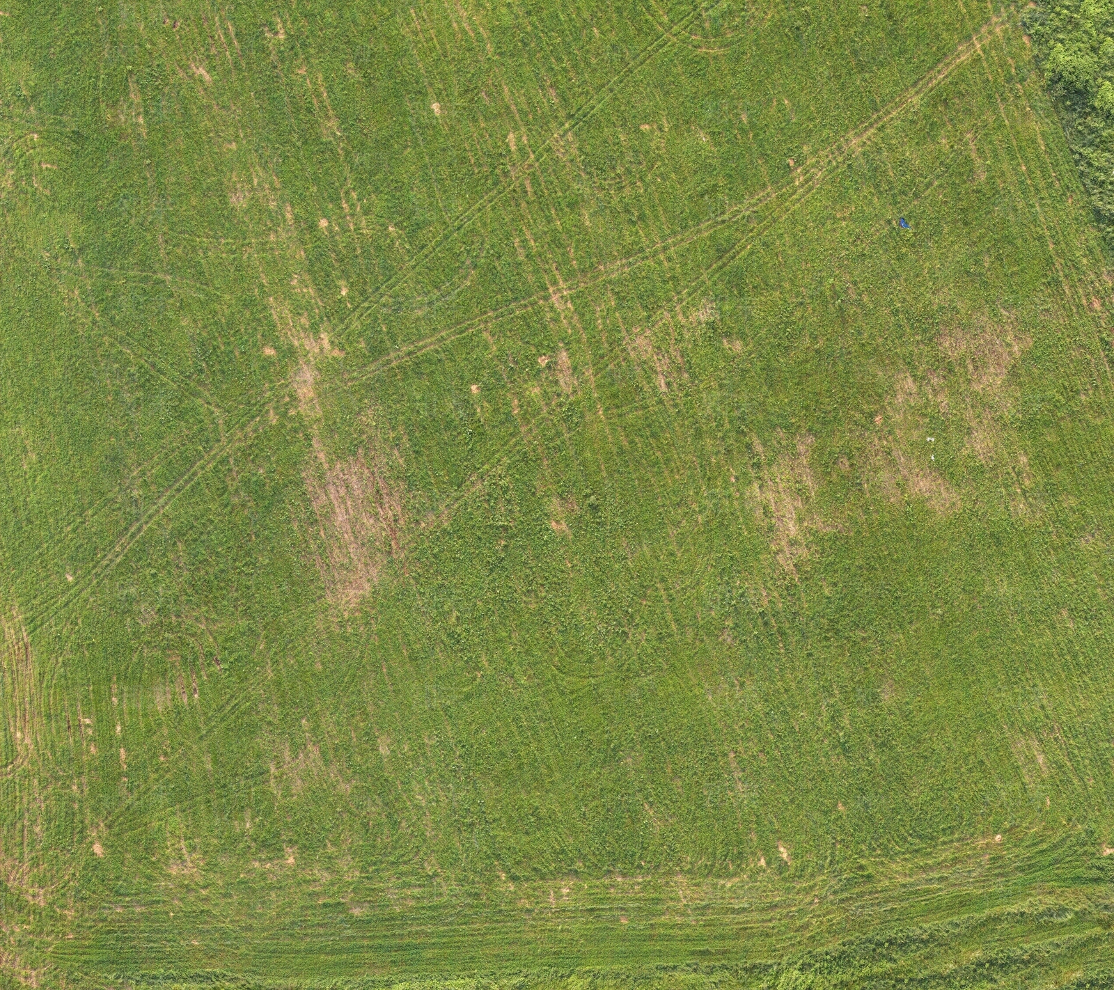 原木草地纹理贴图下载【ID:1196953205】