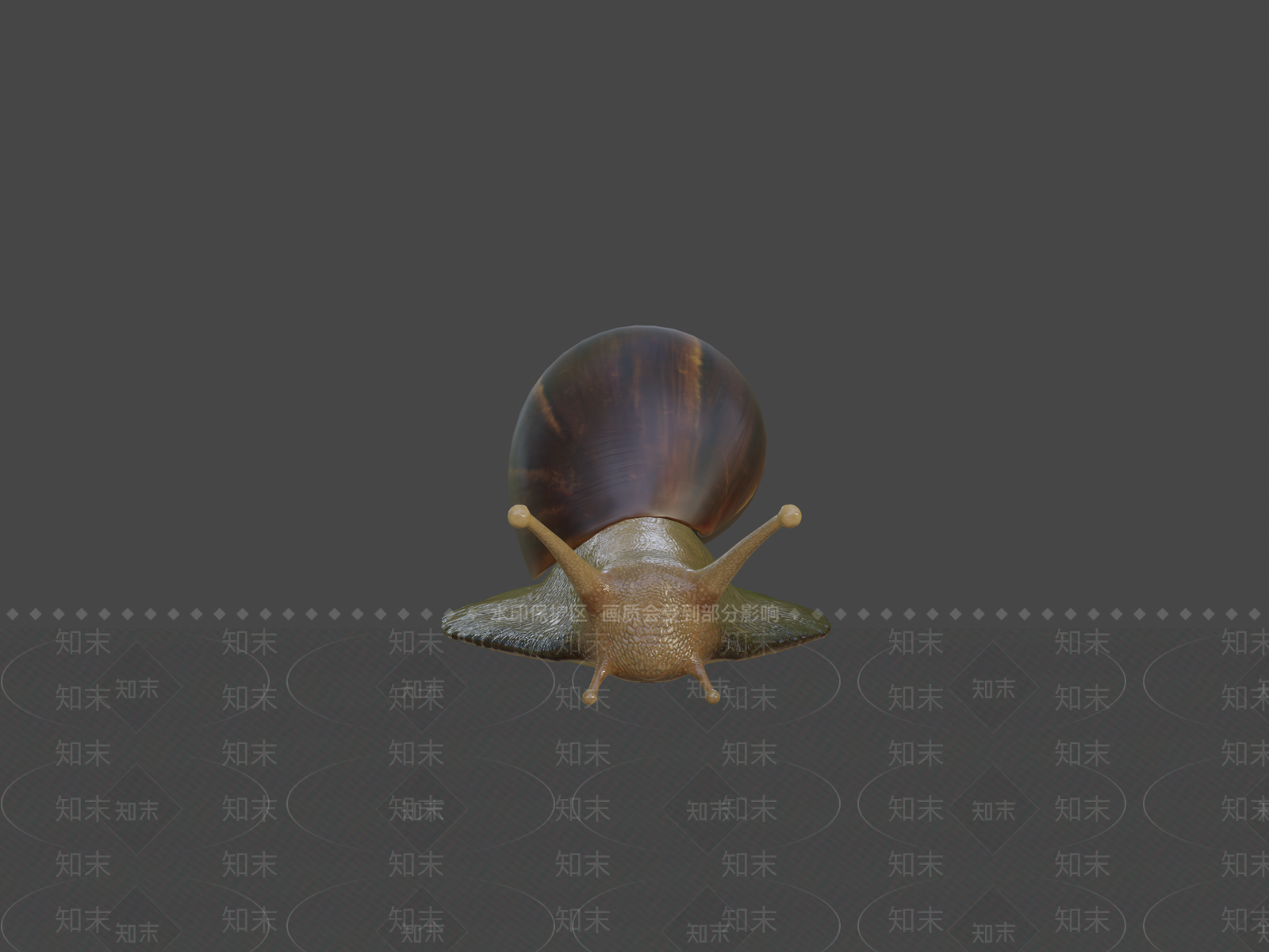 其他动物3D模型下载【ID:1196959344】