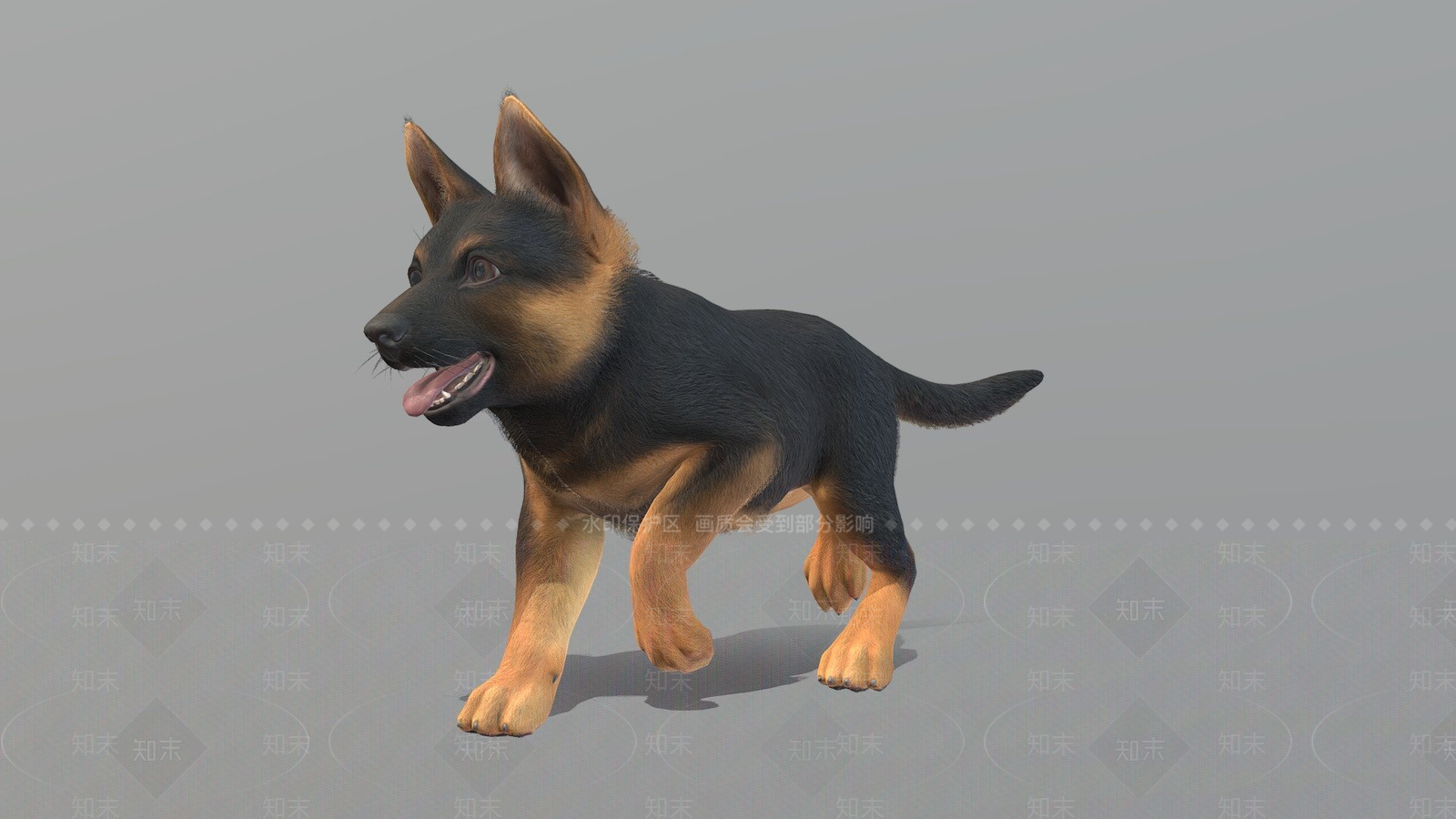 其他动物3D模型下载【ID:1196959613】