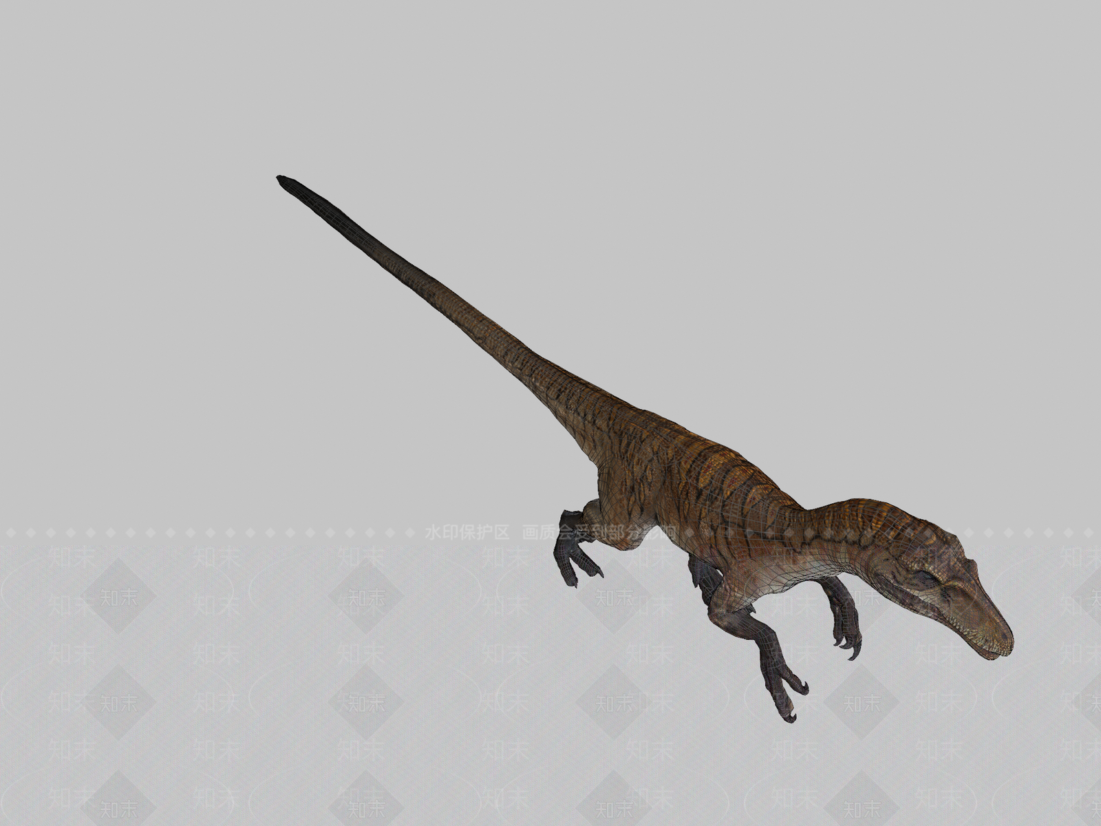 其他动物3D模型下载【ID:1196963401】