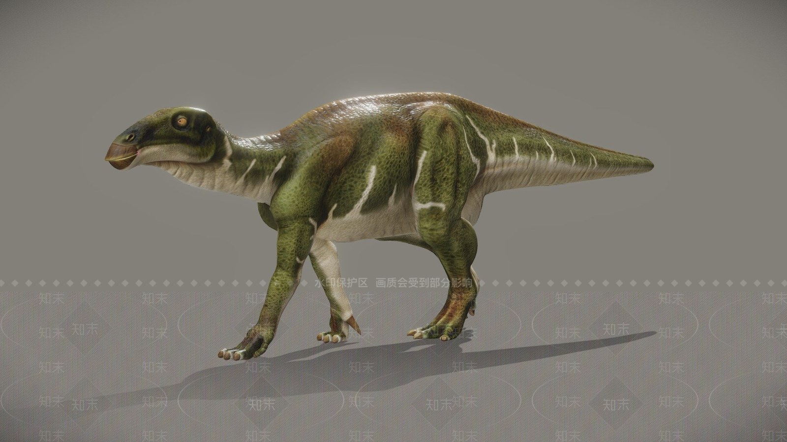 其他动物3D模型下载【ID:1196964900】
