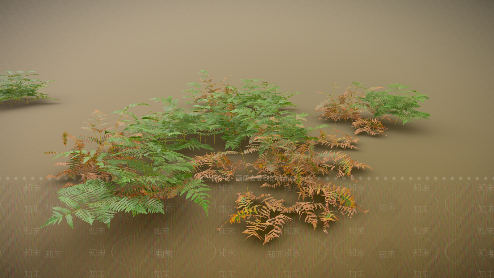 现代草本植物3D模型下载【ID:1196983560】