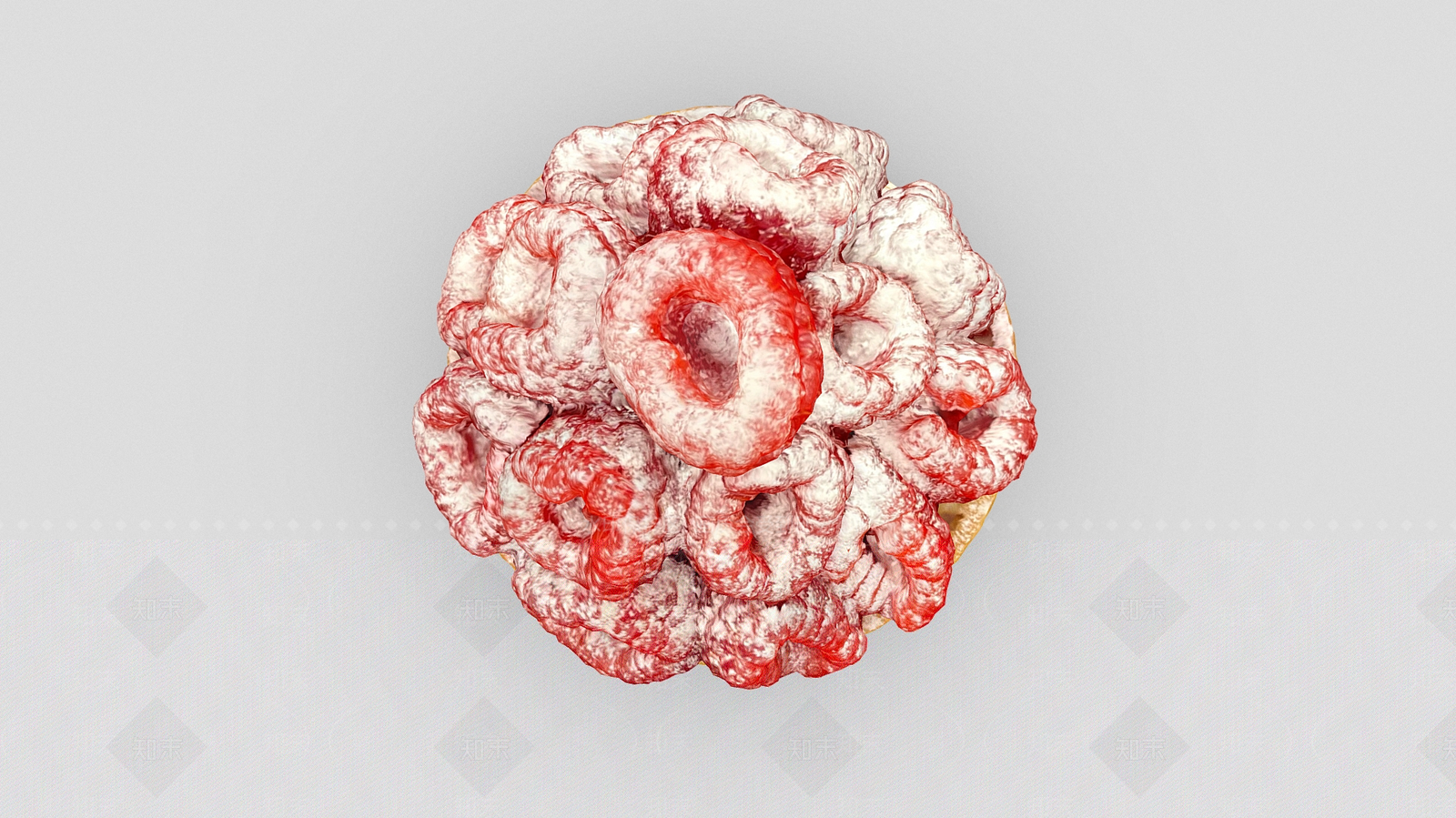 酒水食物3D模型下载【ID:1196983951】
