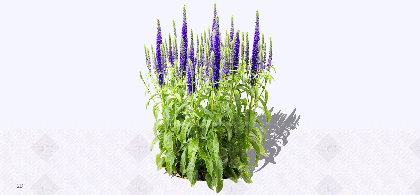 花草SU模型下载【ID:1197003670】