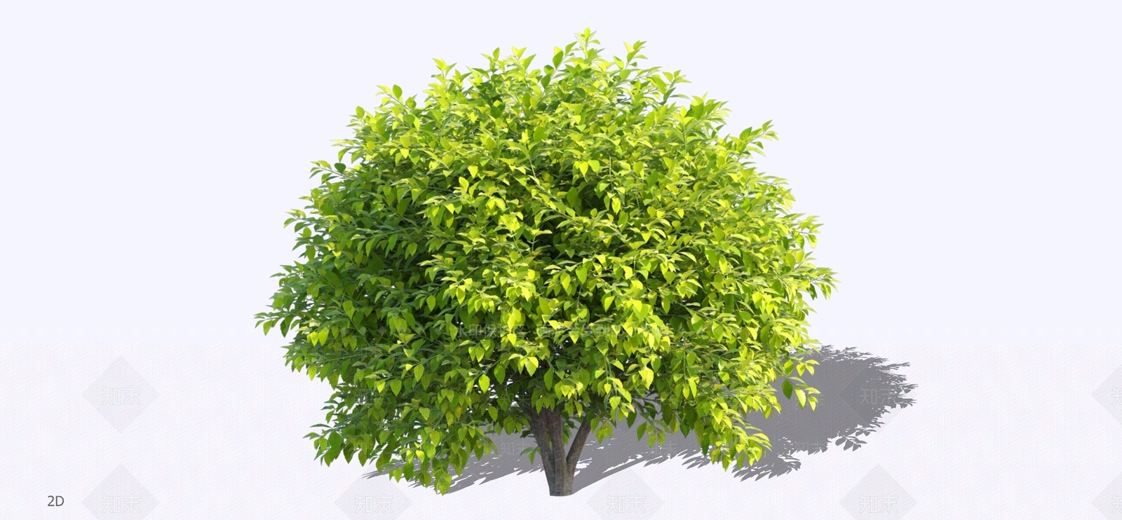 灌木SU模型下载【ID:1197038374】