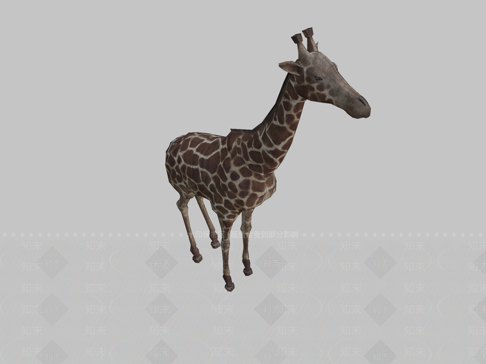 其他动物3D模型下载【ID:1197058531】