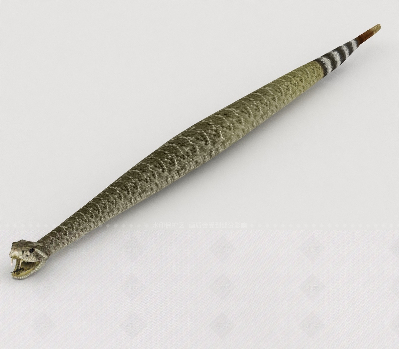 其他动物3D模型下载【ID:1197059274】