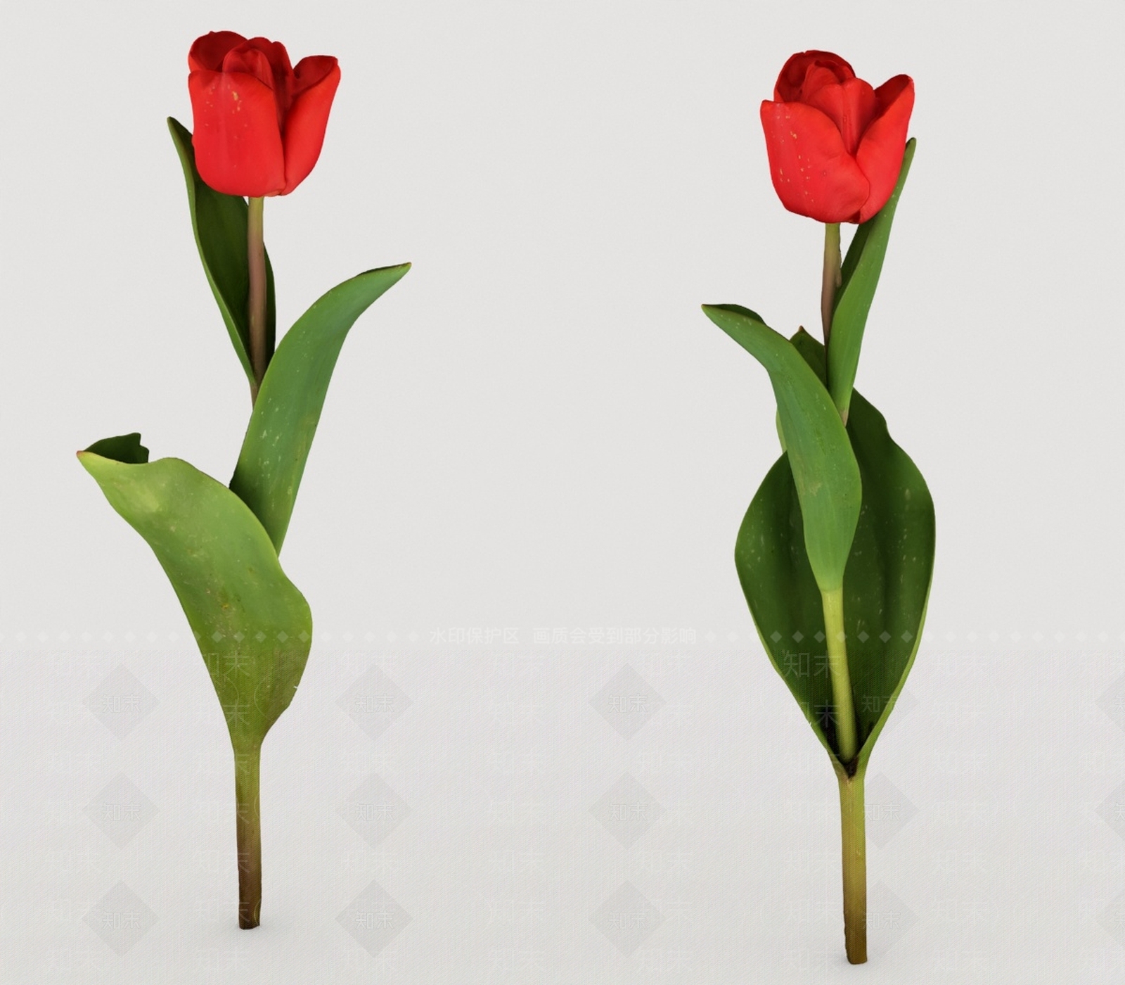 其他绿植3D模型下载【ID:1197065761】