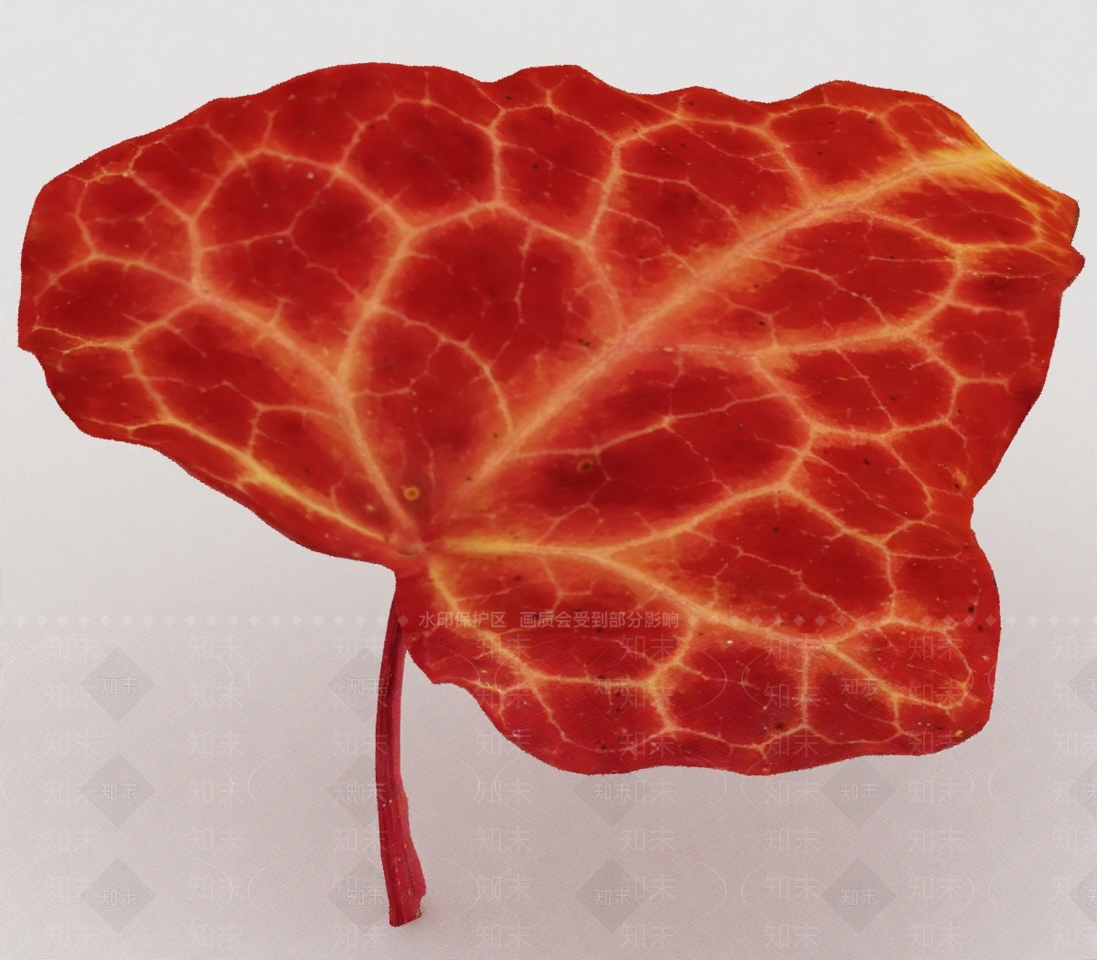 其他绿植3D模型下载【ID:1197065778】
