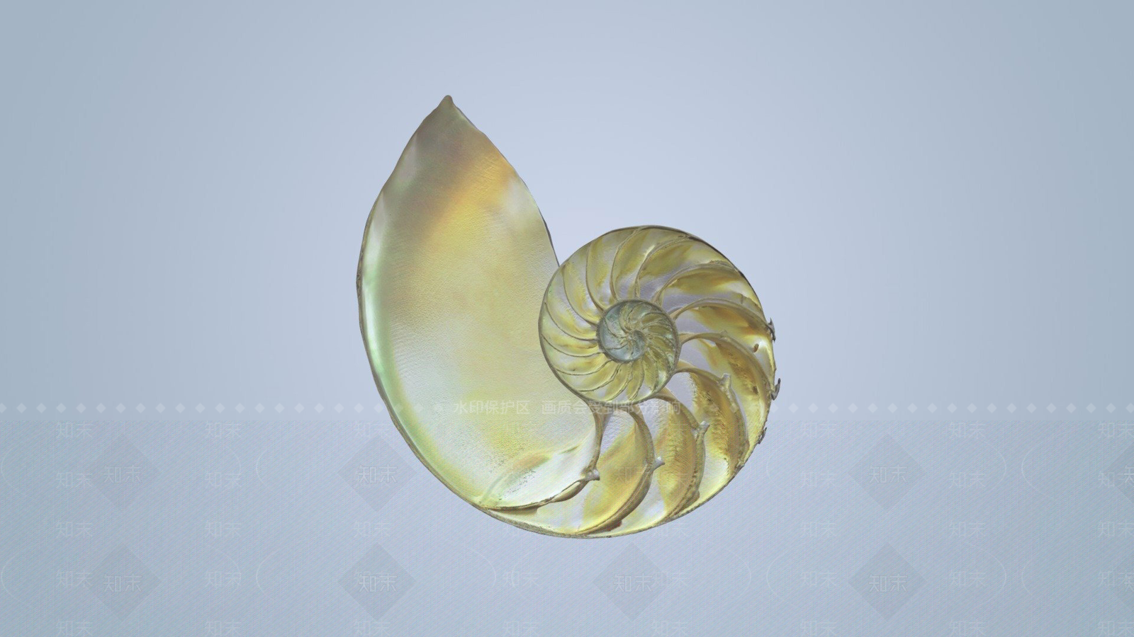 其他动物3D模型下载【ID:1197067231】