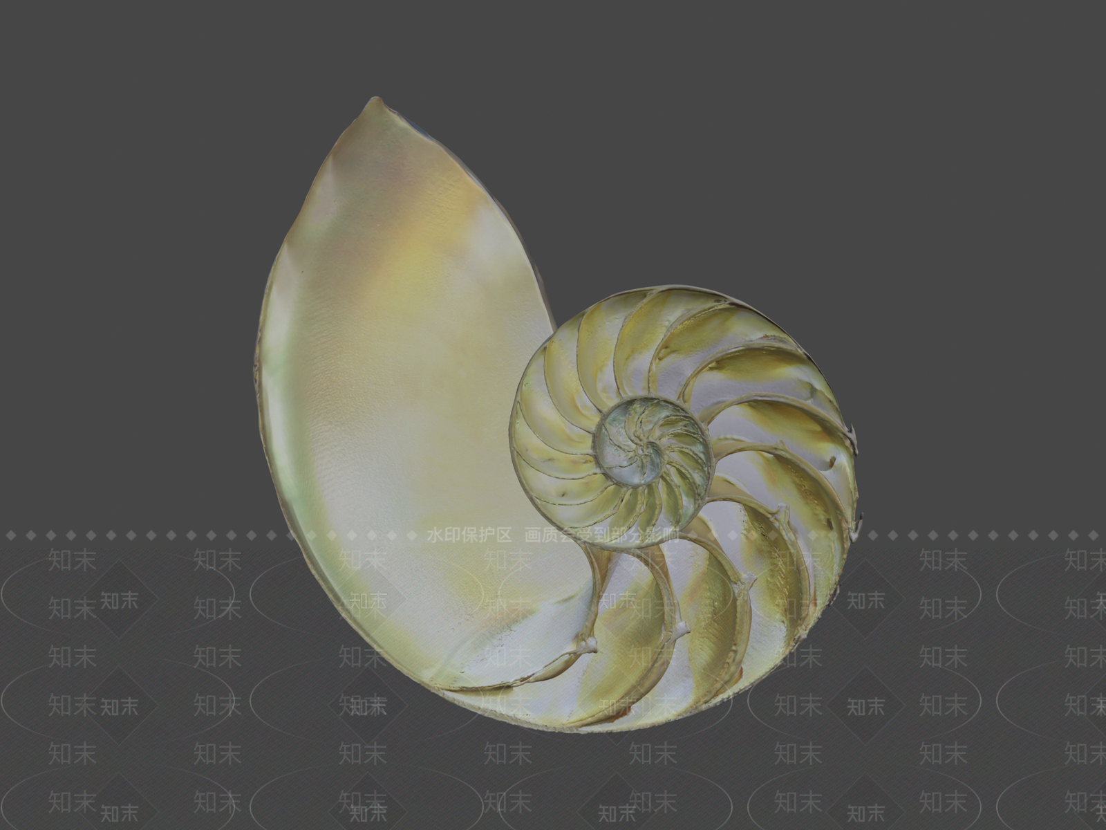 其他动物3D模型下载【ID:1197067231】