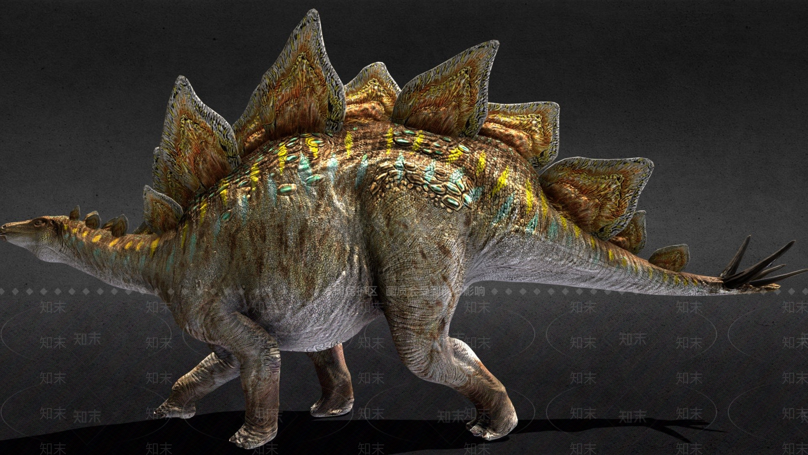 其他动物3D模型下载【ID:1197073626】