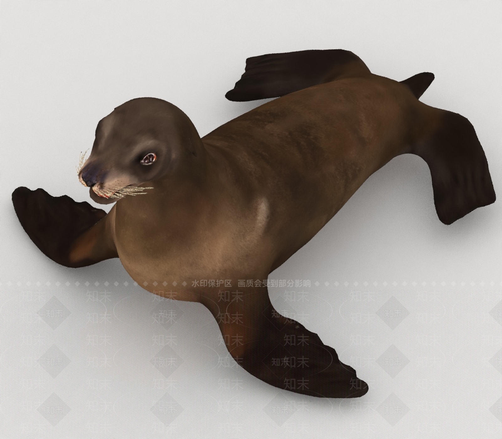 水生类动物3D模型下载【ID:1197073864】