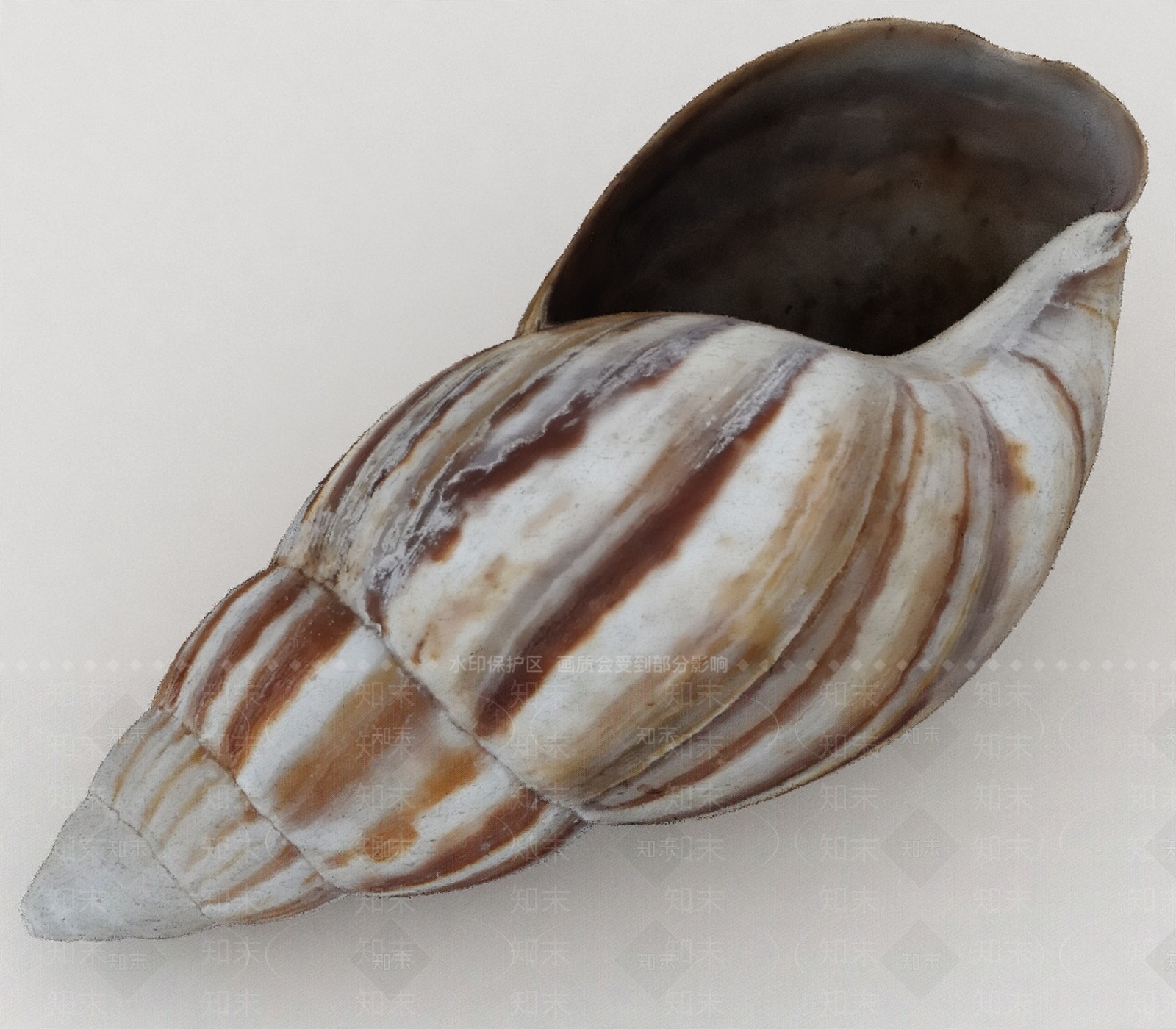 水生类动物3D模型下载【ID:1197074010】
