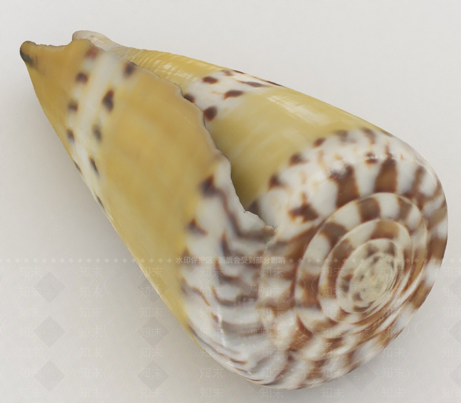 水生类动物3D模型下载【ID:1197074172】