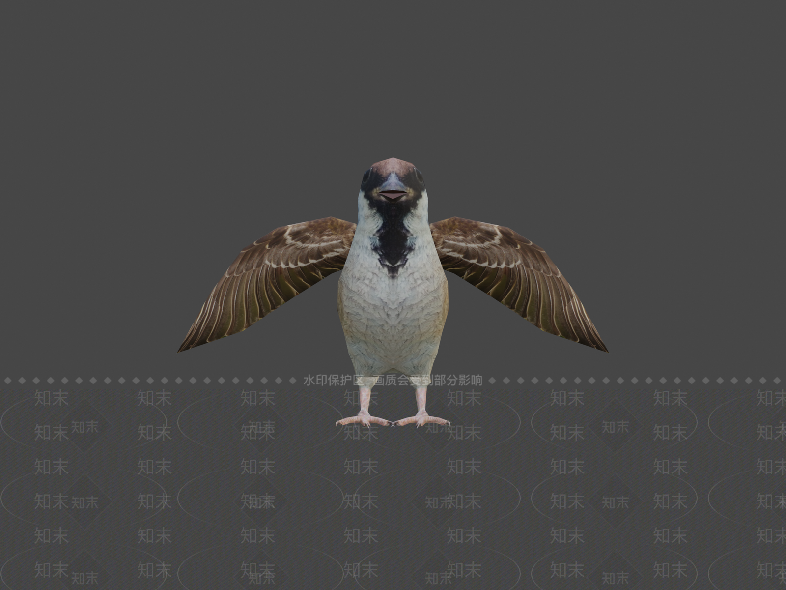 飞行类动物3D模型下载【ID:1197074158】