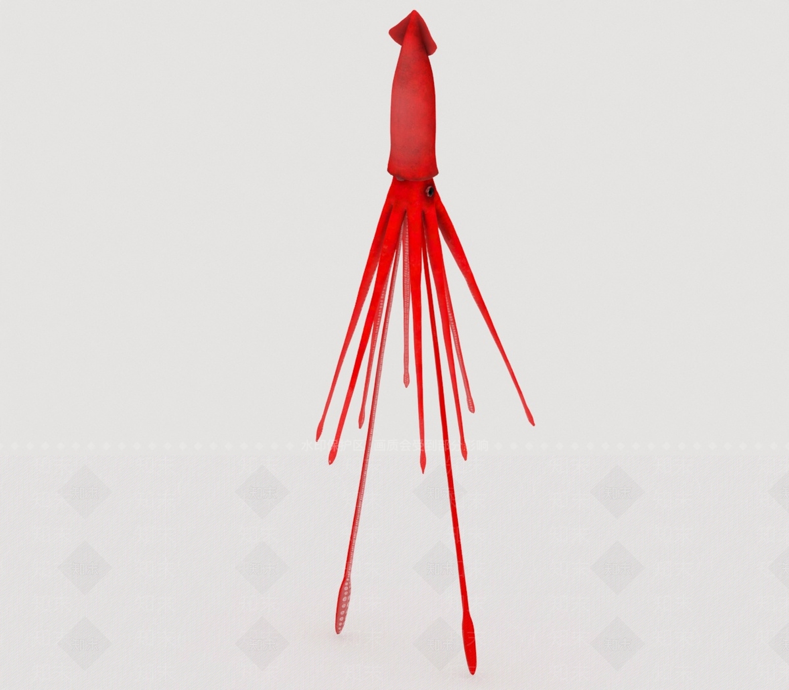 水生类动物3D模型下载【ID:1197074218】