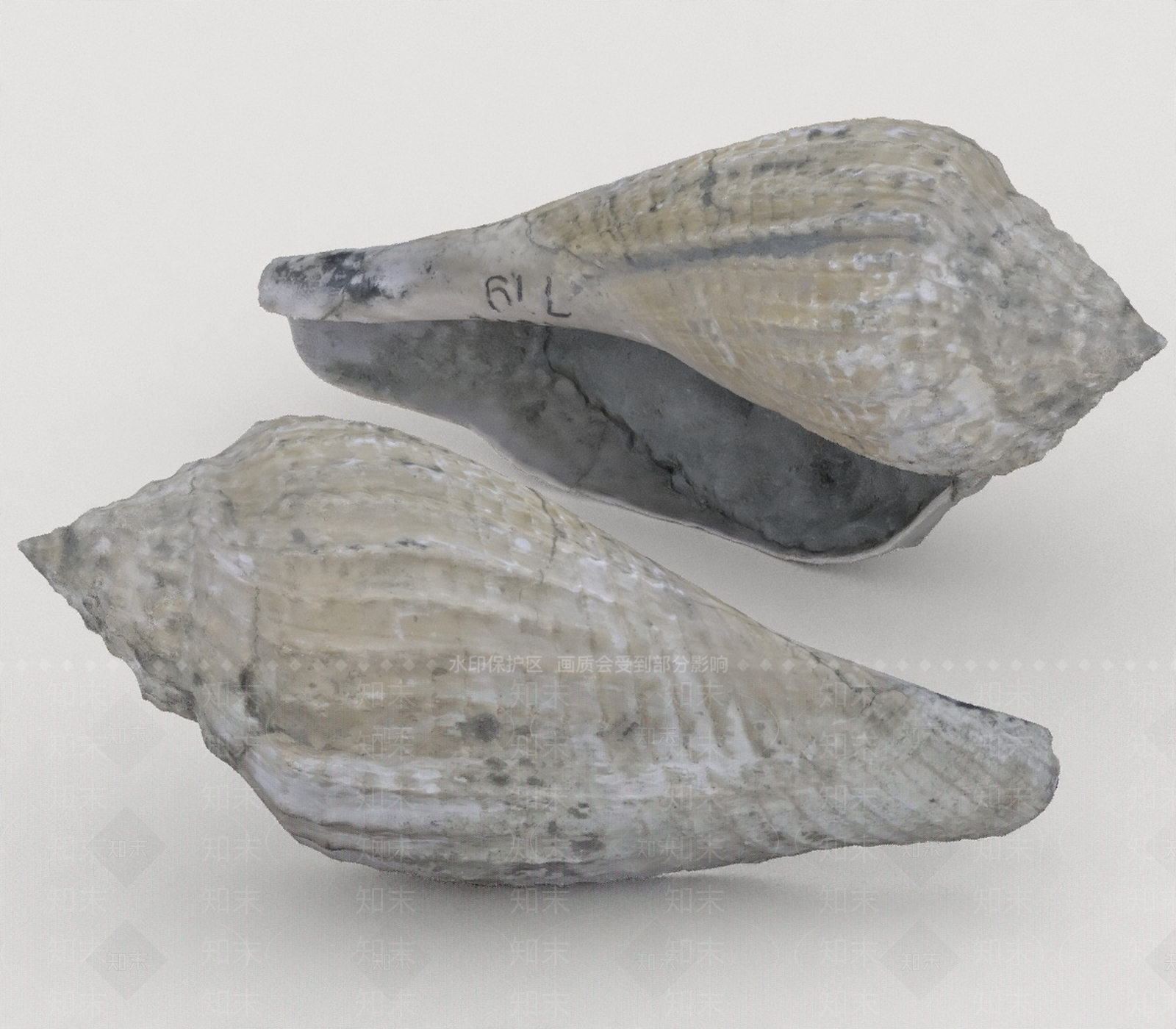 水生类动物3D模型下载【ID:1197074302】