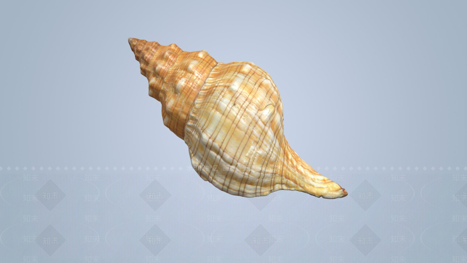 其他动物3D模型下载【ID:1197074591】